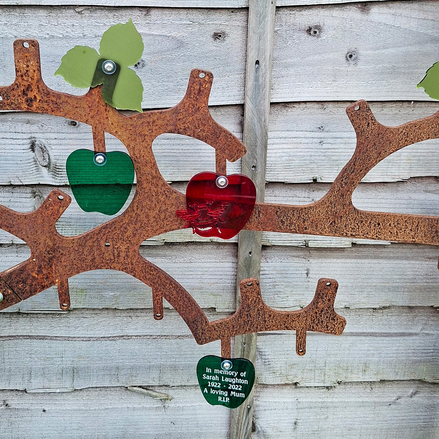 Espalier (Remembrance Garden)