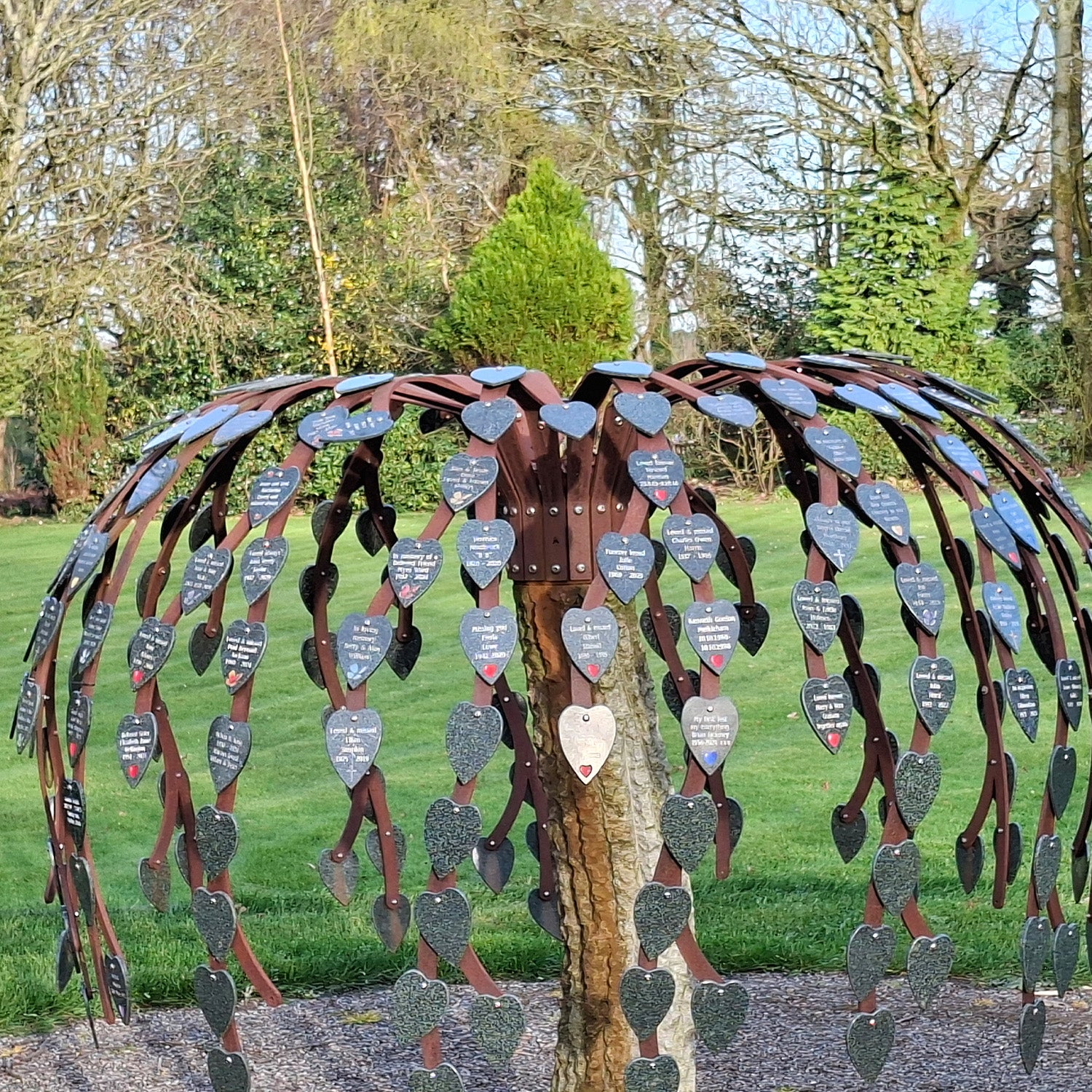Mulberry Tree
