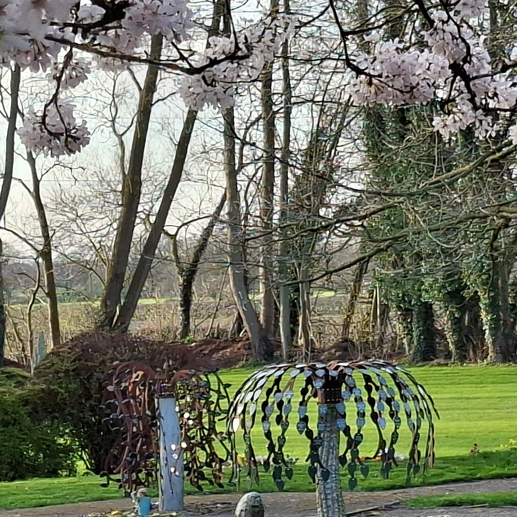 Mulberry Tree