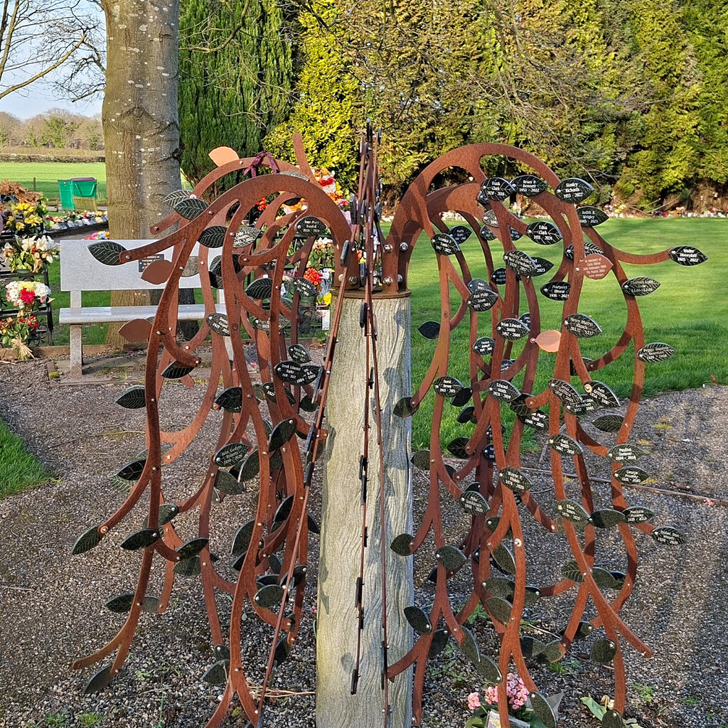 Willow Tree