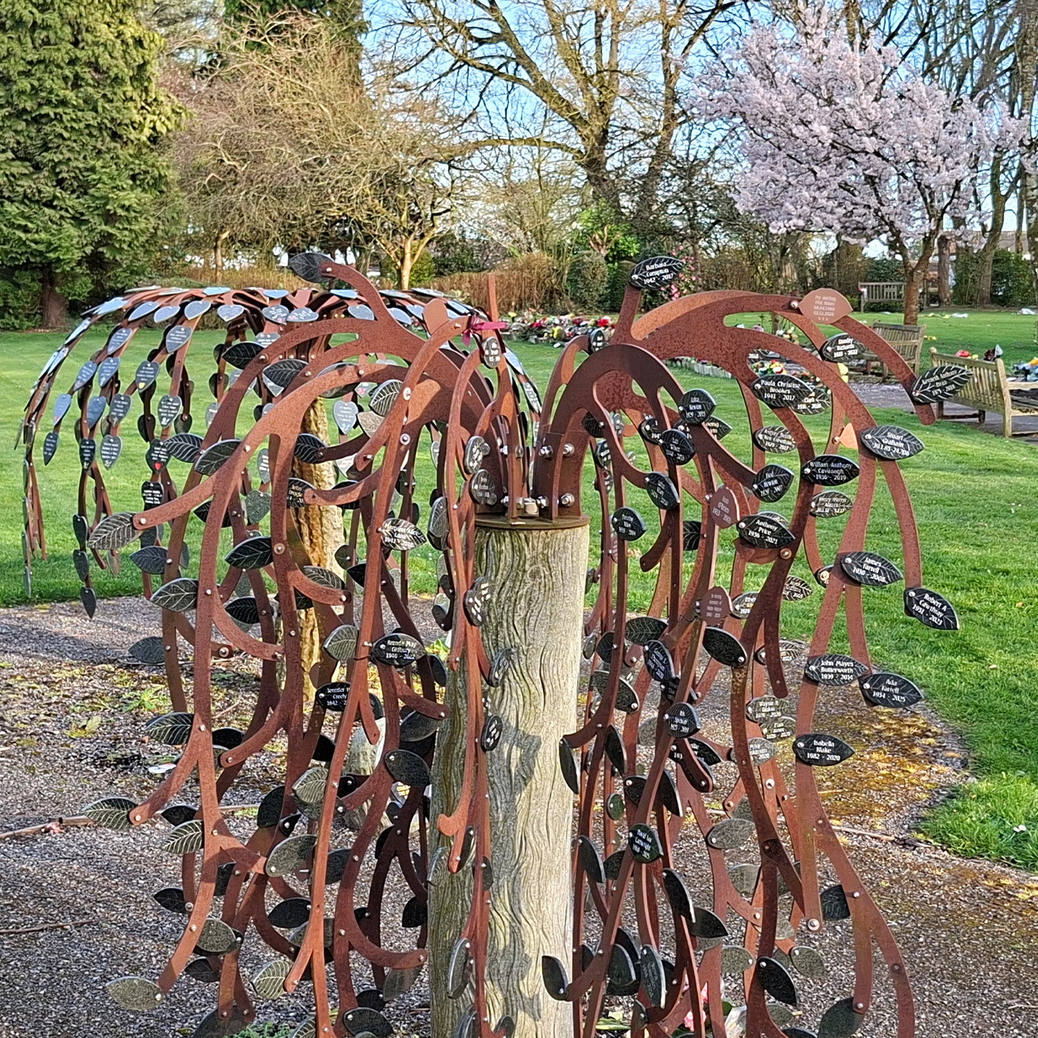 Willow Tree